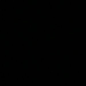 Meet your Posher, Leo